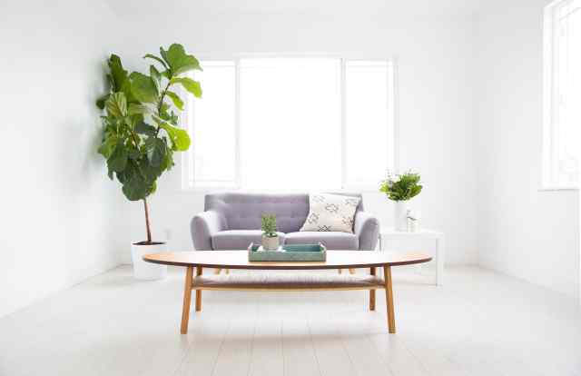 Interior designers & decorator 